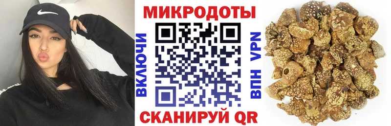 Галлюциногенные грибы Cubensis  kraken ссылки  darknet наркотические препараты  Гудермес 