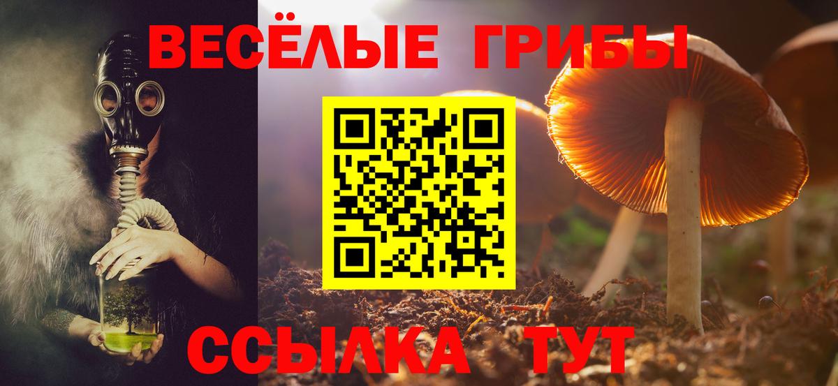 Галлюциногенные грибы Magic Shrooms Гудермес