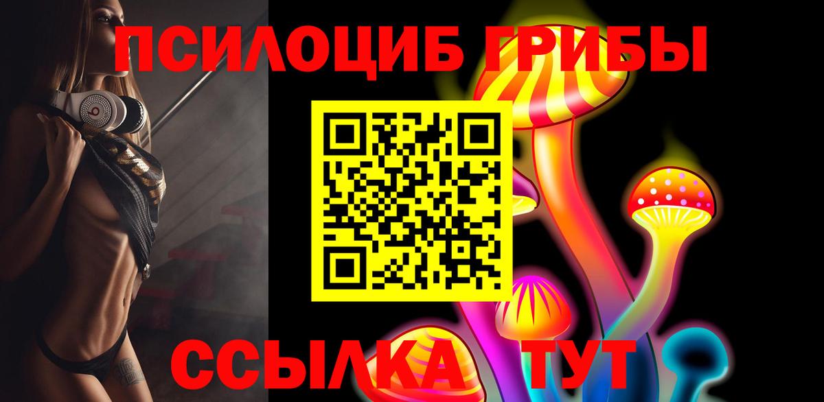 Галлюциногенные грибы мицелий  Вход с VPN  Гудермес 