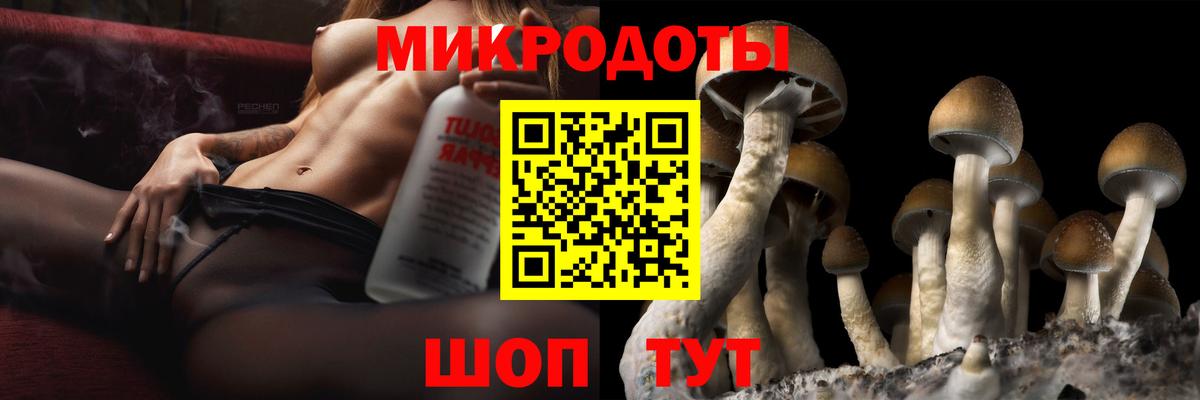 Псилоцибиновые грибы прущие грибы  Гудермес 